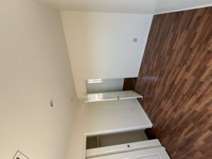 Interior Paint Trends