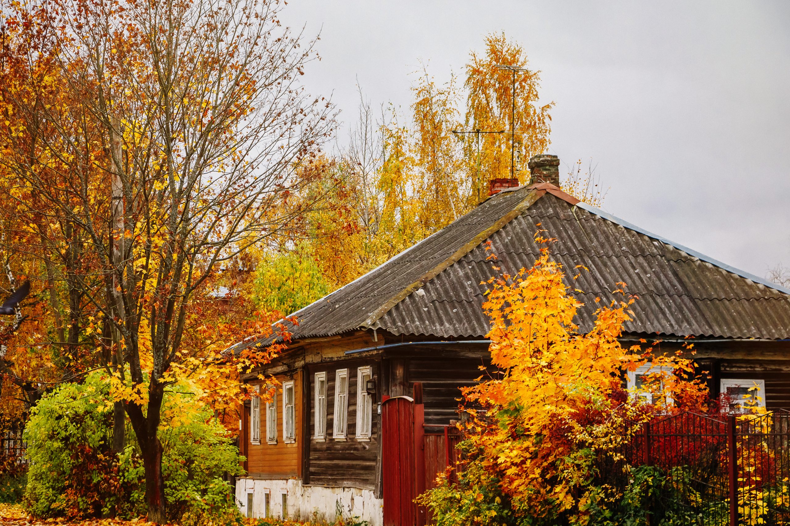 house